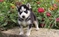 Click to view classifieds GDVYUNLF