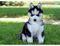 Click to view classifieds MJFBQRAX