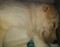 Click to view classifieds ZFPGEVFD