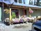 Click to view classifieds OEBZAQZC