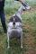 Click to view classifieds WKXBHCNF