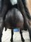 Click to view classifieds AEZLBBUO