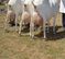 Click to view classifieds CSVULNBQ