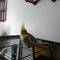 Click to view classifieds GRHXZTRX