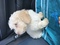 Click to view classifieds XNGDQXRL