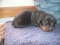 Click to view classifieds YGNKNOOM