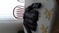 Click to view classifieds SJEXVFVZ