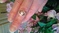 Click to view classifieds NUWXHMJO