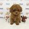 Click to view classifieds COHKOMWU