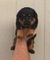 Click to view classifieds DSKFWCYB