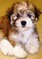 Click to view classifieds WNFBTEYU