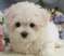 Click to view classifieds DRAYNBJN