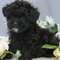 Click to view classifieds BKVZEJDG