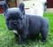 Click to view classifieds REMLBZOQ
