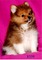 Click to view classifieds YMWSCEHW