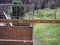 Click to view classifieds KDVTGDOG