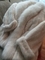 Click to view classifieds MUECHKJV