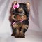 Click to view classifieds ONJGSRJU
