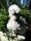 Click to view classifieds NFASTLAP
