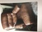 Click to view classifieds JUSSXPCF
