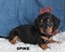 Click to view classifieds LHJFPSRF