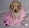 Click to view classifieds WFERXZXA