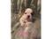 Click to view classifieds QDJXAMPV