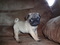 Click to view classifieds ZLFDRLUK