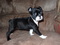 Click to view classifieds VGCYCTGJ