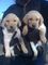 Click to view classifieds RYEJHKFH