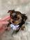 Click to view classifieds ELWGZESB