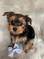 Click to view classifieds SMYREVEW