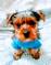 Click to view classifieds SQBGLUZW