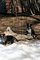 Click to view classifieds KTNEQPTT