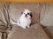 Click to view classifieds HPYBDTTY