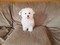 Click to view classifieds YLRMREPO