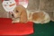 Click to view classifieds YNKVZRTF