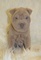 Click to view classifieds PVKYYQGG