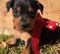 Click to view classifieds RMGLKKYW