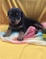Click to view classifieds WJNPNMLS