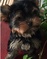 Click to view classifieds ELNCDULJ