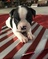 Click to view classifieds CRXMASNN