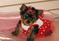 Click to view classifieds AMMCBDGB