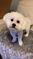 Click to view classifieds HJWGLDET