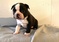 Click to view classifieds SBFCNLZT