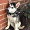 Click to view classifieds GOSLTTZE