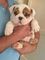 Click to view classifieds FQFCAOWX