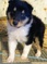 Click to view classifieds CWZEJDNN