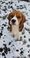 Click to view classifieds VGPMHYQR