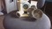 Click to view classifieds JCHRBWEC